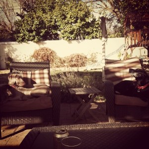 hanging with Cody in our yard