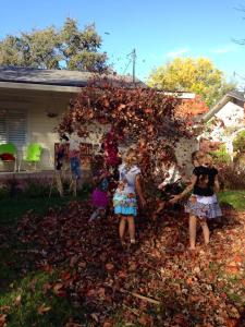 girl fun in the leaves 11-15-14