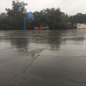 12219514_10208239111122055_2712343696528880670_n